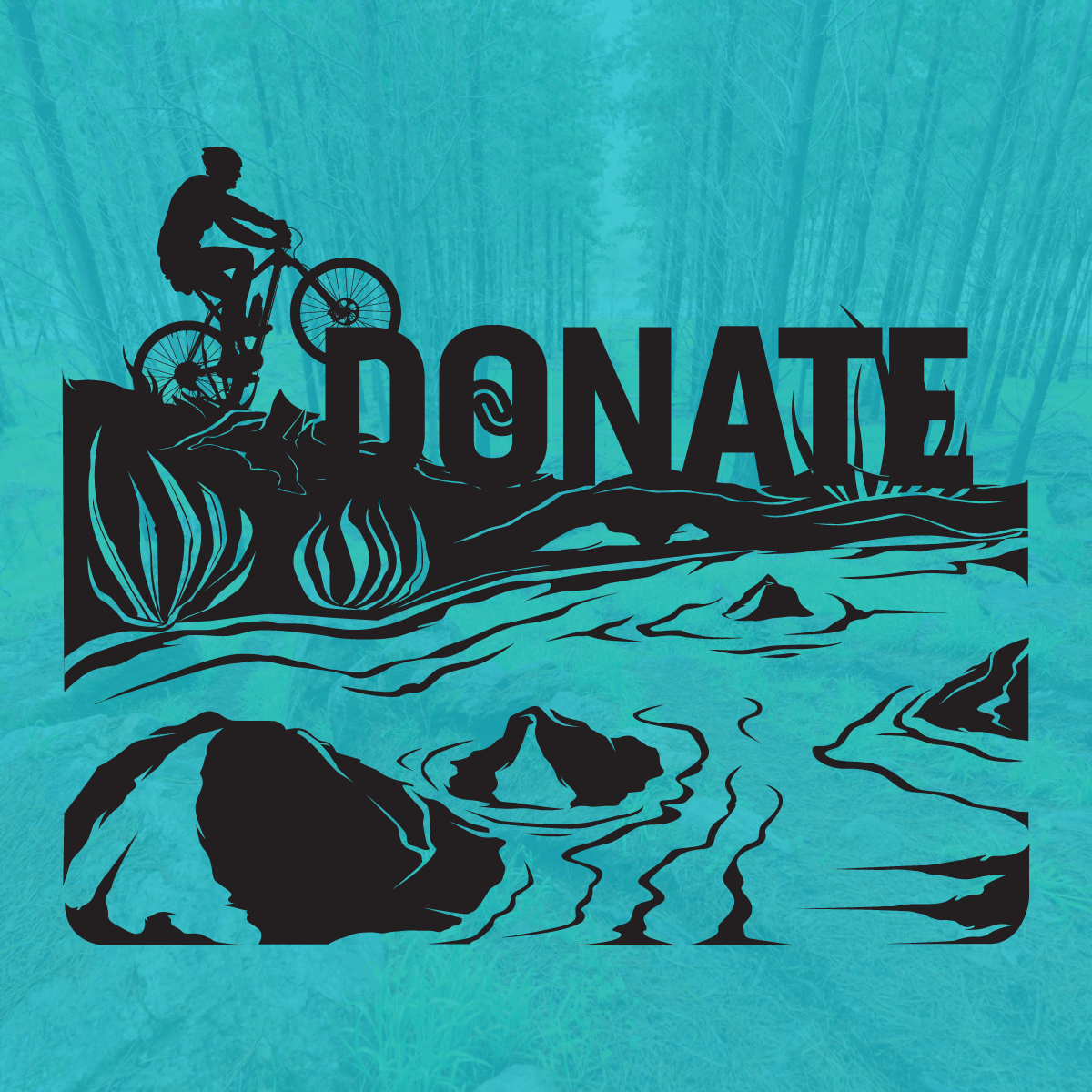 Donation